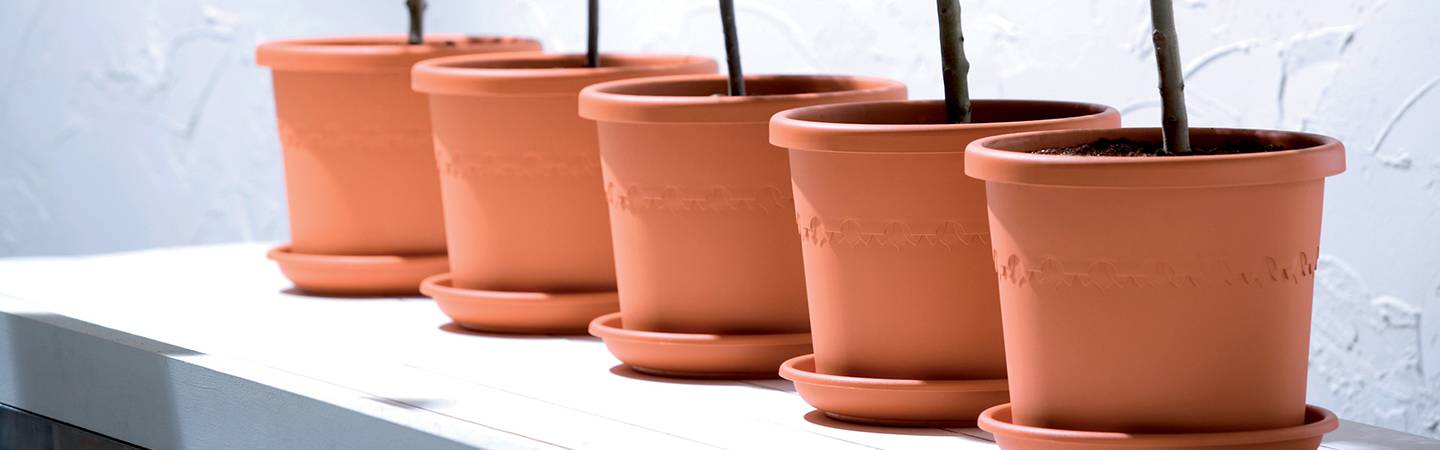 algarve cilindro 58cm thyme green